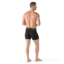 Alternative view of Men's Everyday Merino Boxer Brief